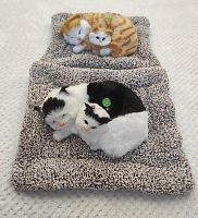 "Кошка с котенком" во Нерюнгри